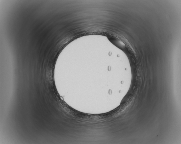 X0000108480881200905151221