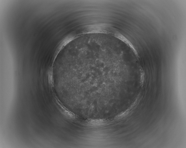 X0000108480882200905151221
