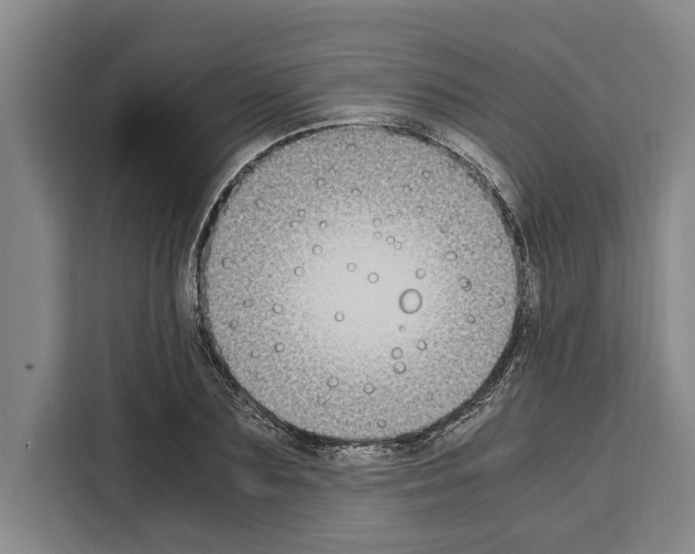 X0000108480883200905151221