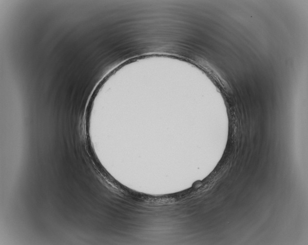 X0000108480884200905151221