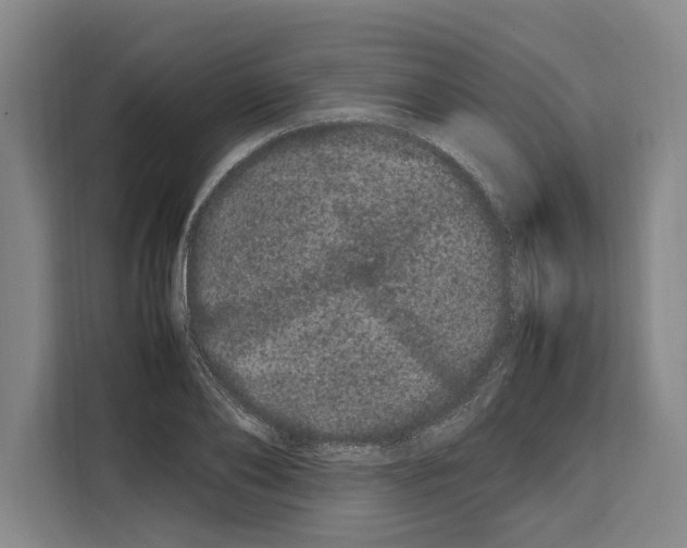 X0000108480886200905151221