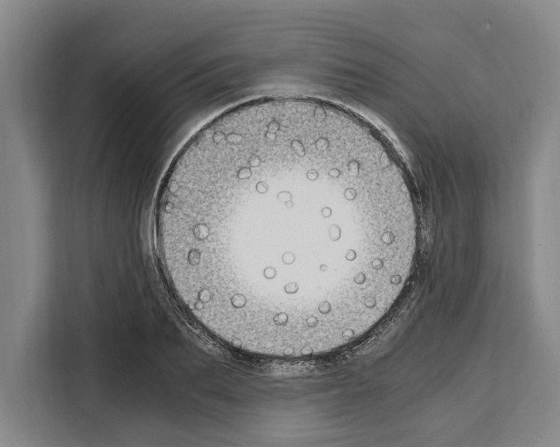 X0000108480887200905151221
