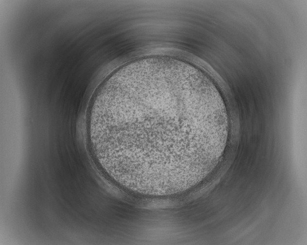 X0000108480890200905151220