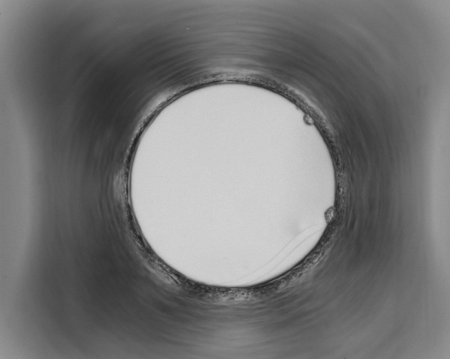 X0000108480891200905151220