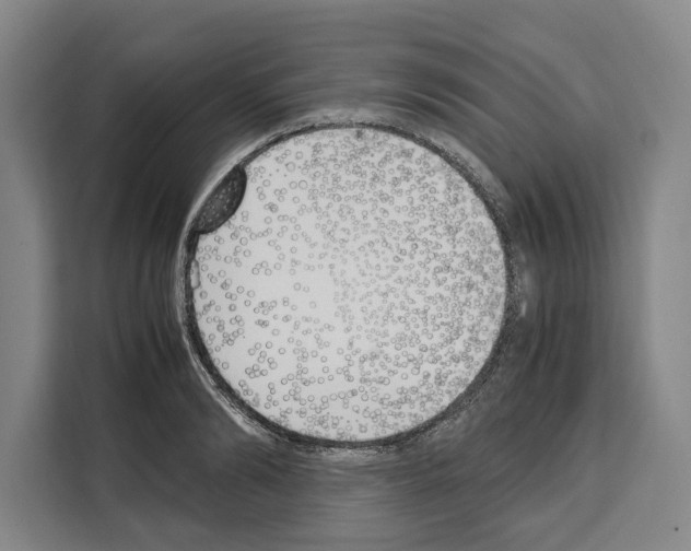 X0000108480894200905151220