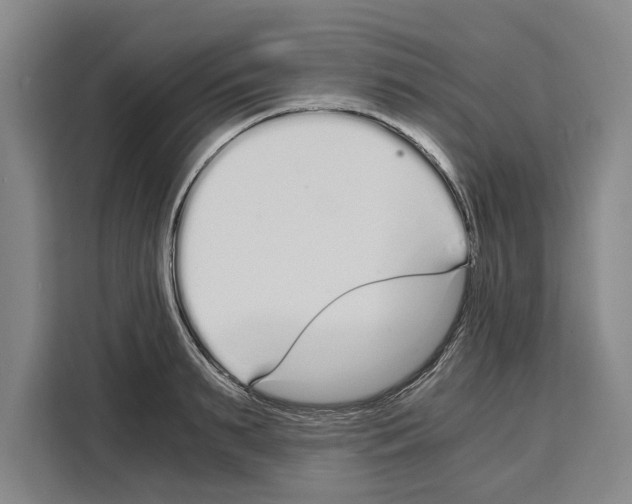 X0000108480895200905151220