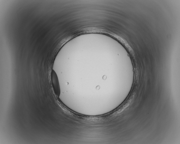 X0000108480897200905151220