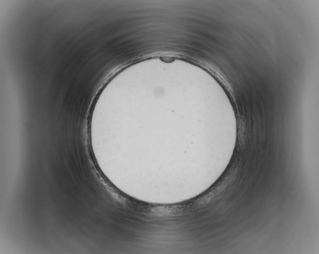 X0000108480898200905151220