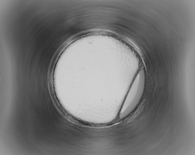 X0000108480899200905151220