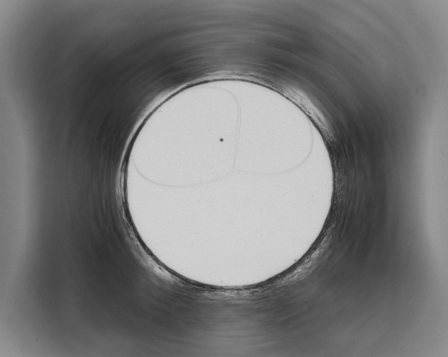 X0000108480900200905151220