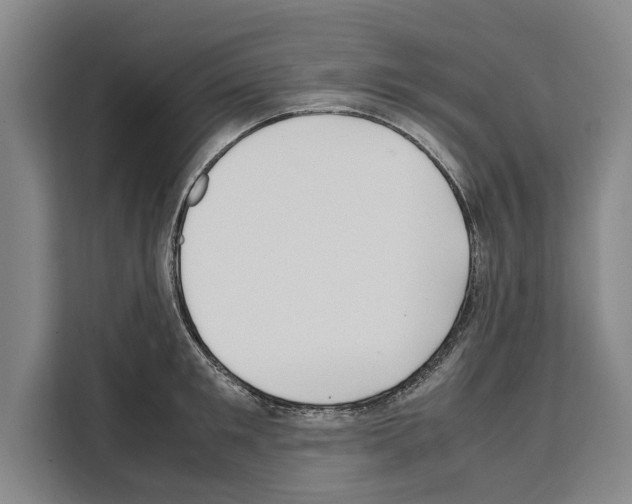 X0000108480901200905151220