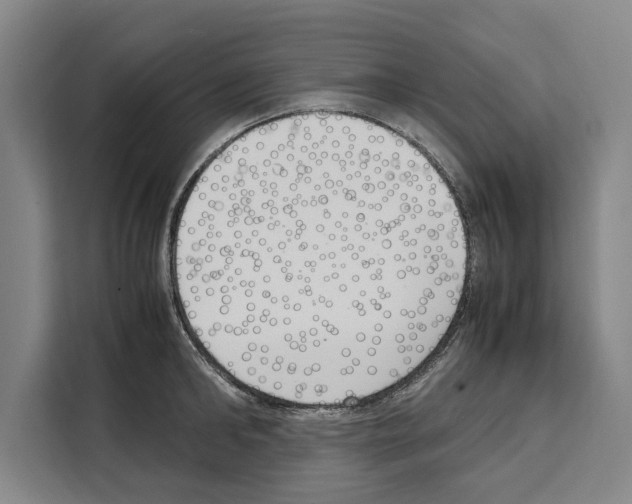 X0000108480902200905151220
