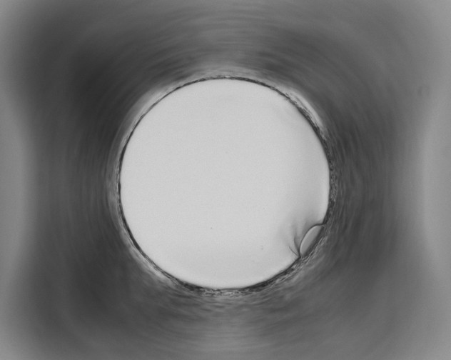X0000108480903200905151220