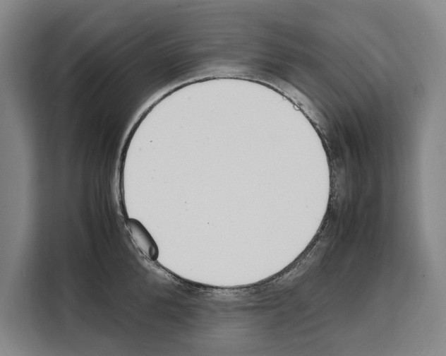 X0000108480904200905151220