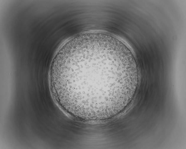X0000108480906200905151220