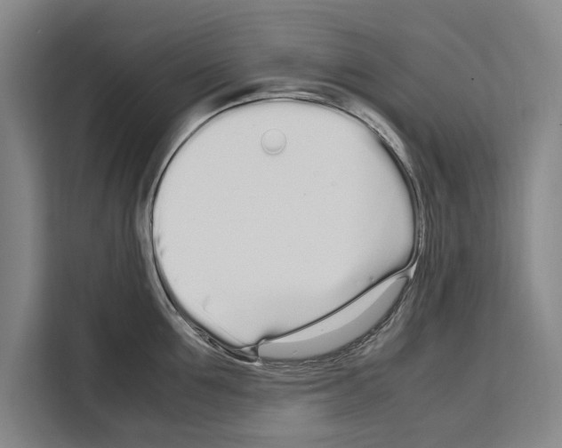 X0000108480907200905151220