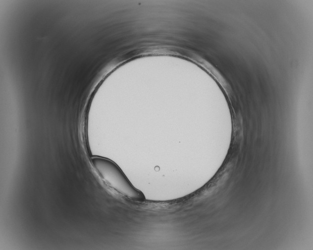 X0000108480909200905151220