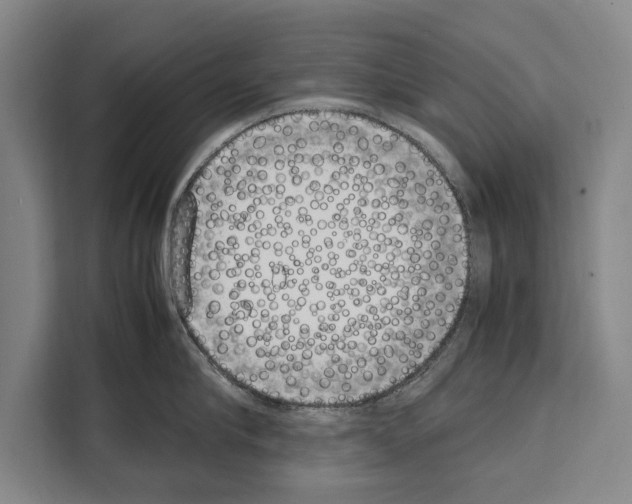 X0000108480910200905151220