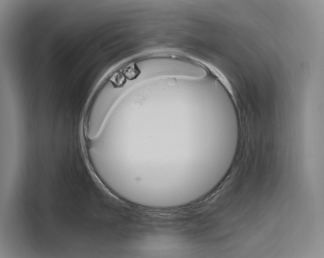 X0000108480911200905151220