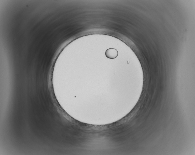 X0000108480912200905151220