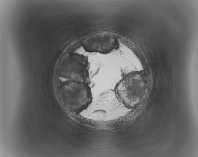 X0000108480913200905151220