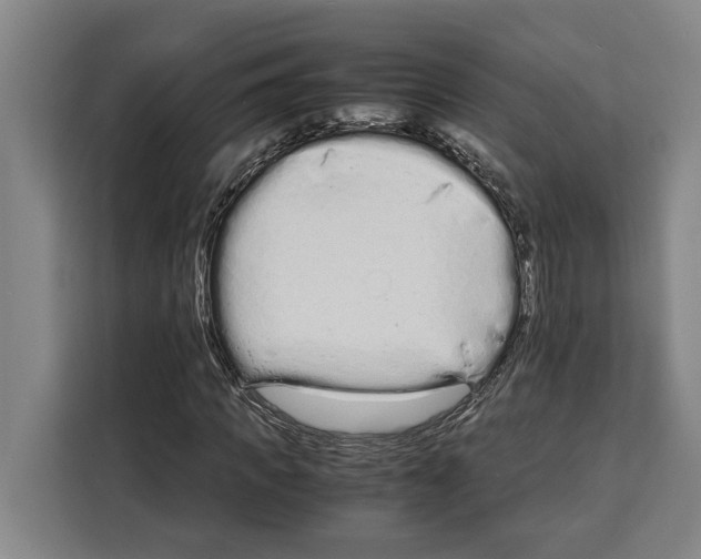 X0000108480917200905151220