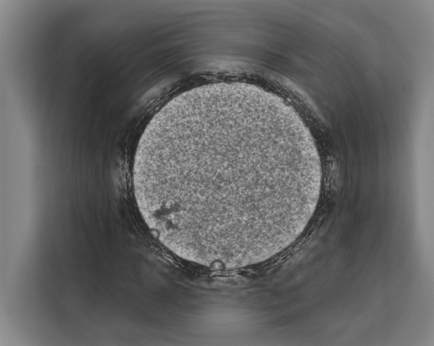 X0000108480918200905151220