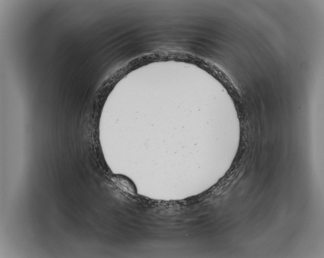 X0000108480919200905151220