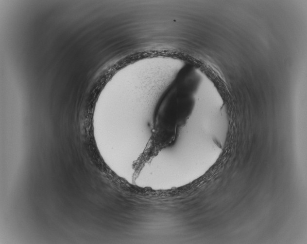 X0000108480920200905151220