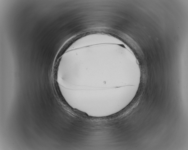 X0000108480924200905151220