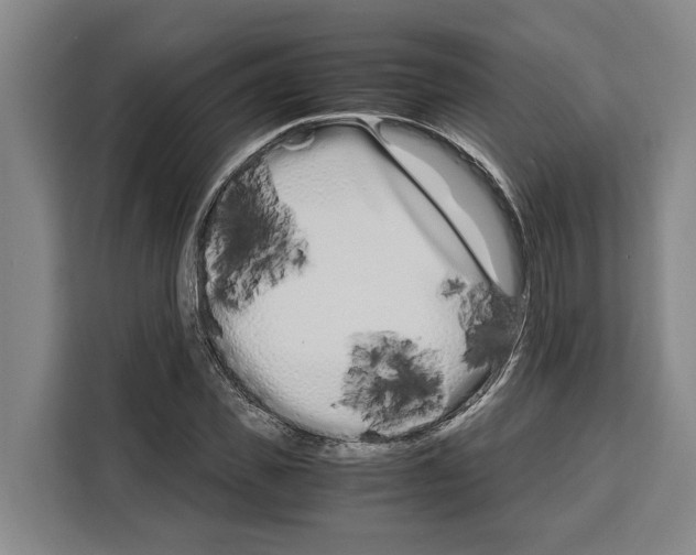 X0000108480925200905151220