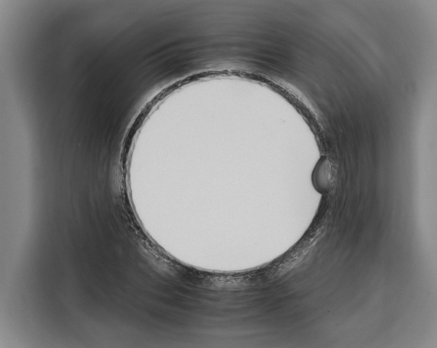 X0000108480927200905151220
