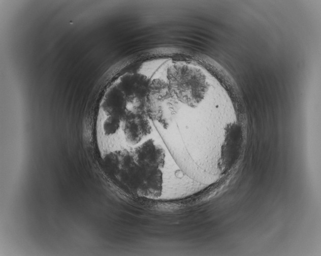 X0000108480929200905151220