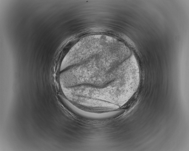 X0000108480930200905151220
