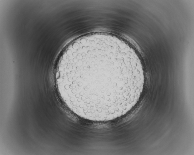X0000108480931200905151220