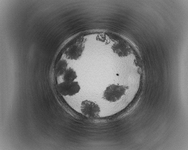 X0000108480933200905151220