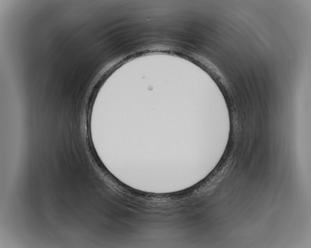 X0000108480935200905151220