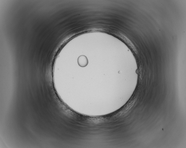 X0000108480939200905151220