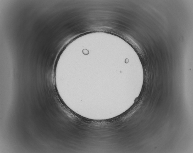 X0000108480940200905151220