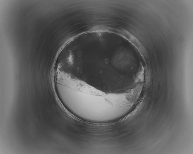X0000108480941200905151220