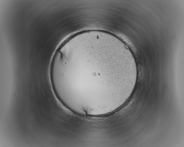 X0000108480942200905151220