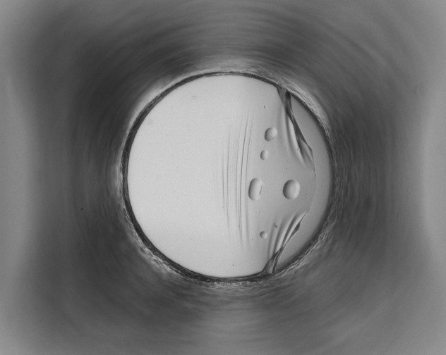 X0000108480944200905151220