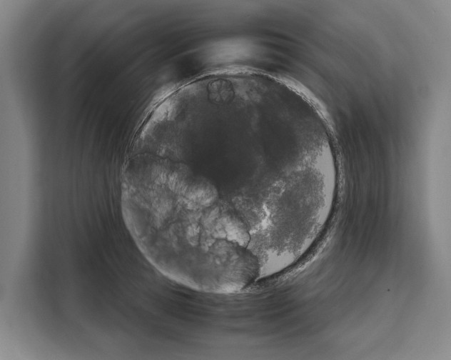 X0000108480945200905151220