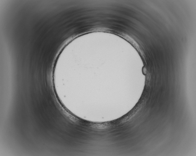 X0000108480947200905151220