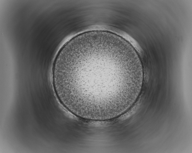 X0000108480950200905151220