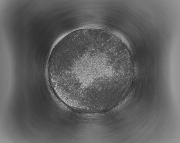 X0000108480952200905151220