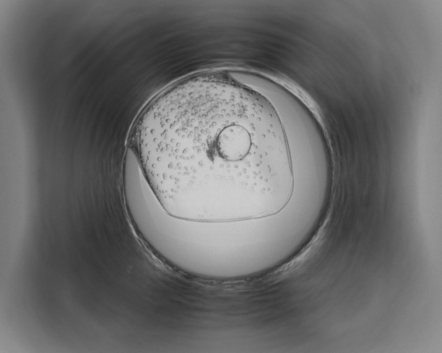 X0000108480953200905151220