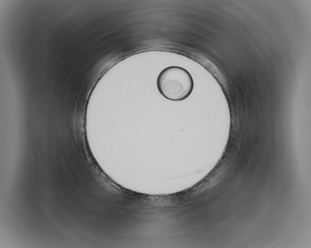 X0000108480954200905151220