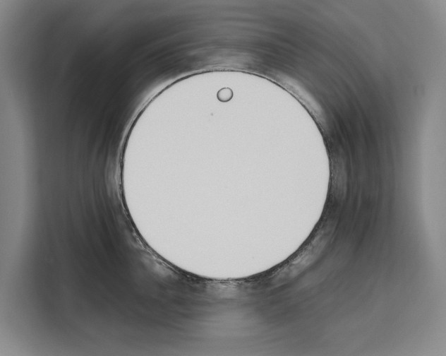 X0000108480956200905151220