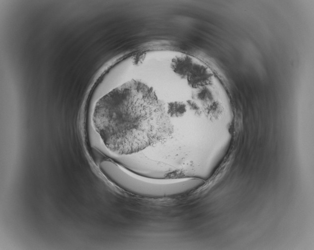 X0000108480957200905151220